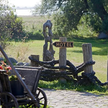 Enddorn Hiddensee