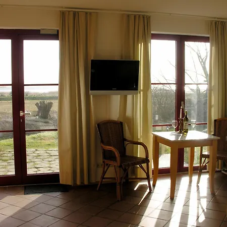 Enddorn Hiddensee * Kloster