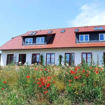 Enddorn Hiddensee * Kloster