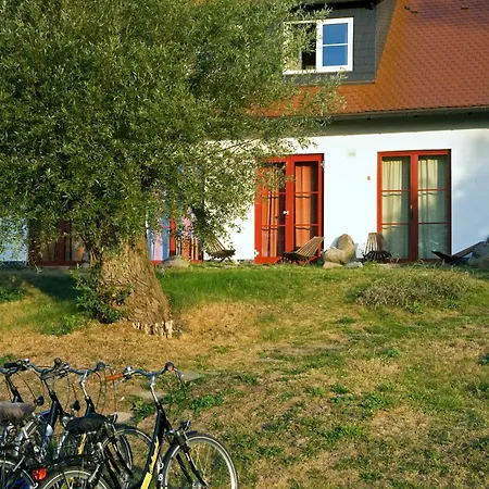 Enddorn Hiddensee