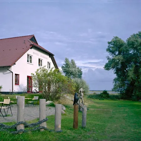 Enddorn Hiddensee * Kloster